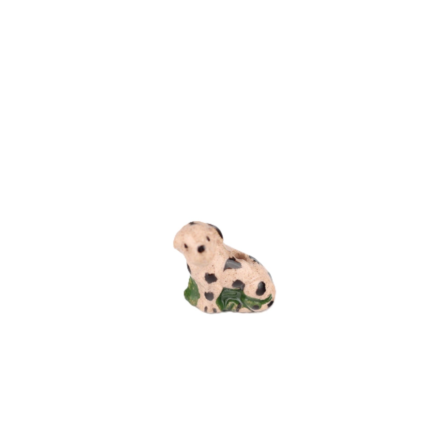 Small Dalmation Puppy