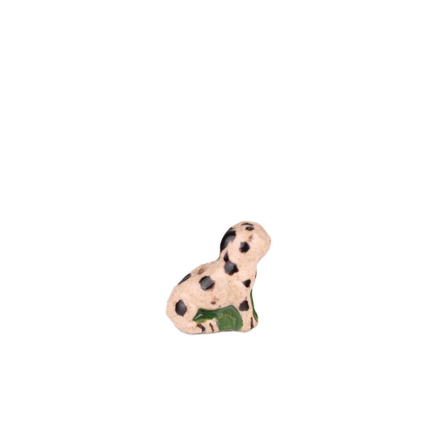 Small Dalmation Puppy