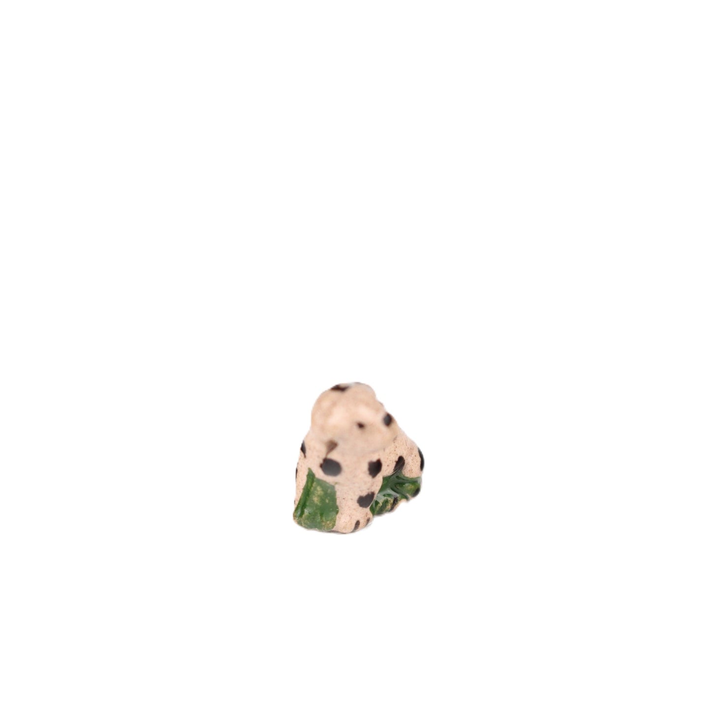Small Dalmation Puppy