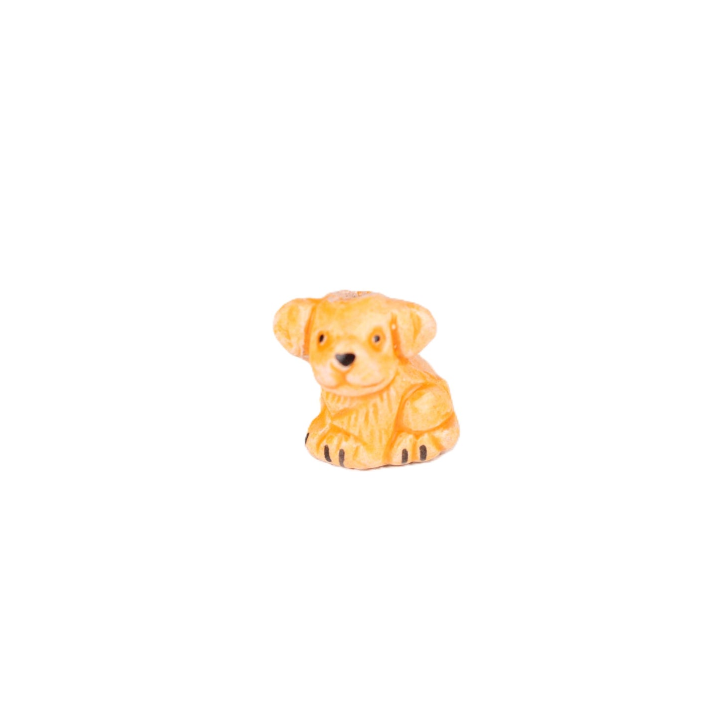 Small Lion Cub