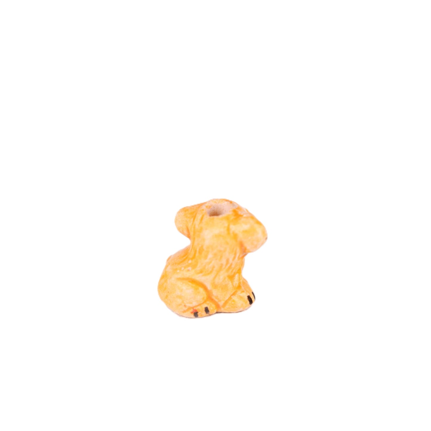 Small Lion Cub