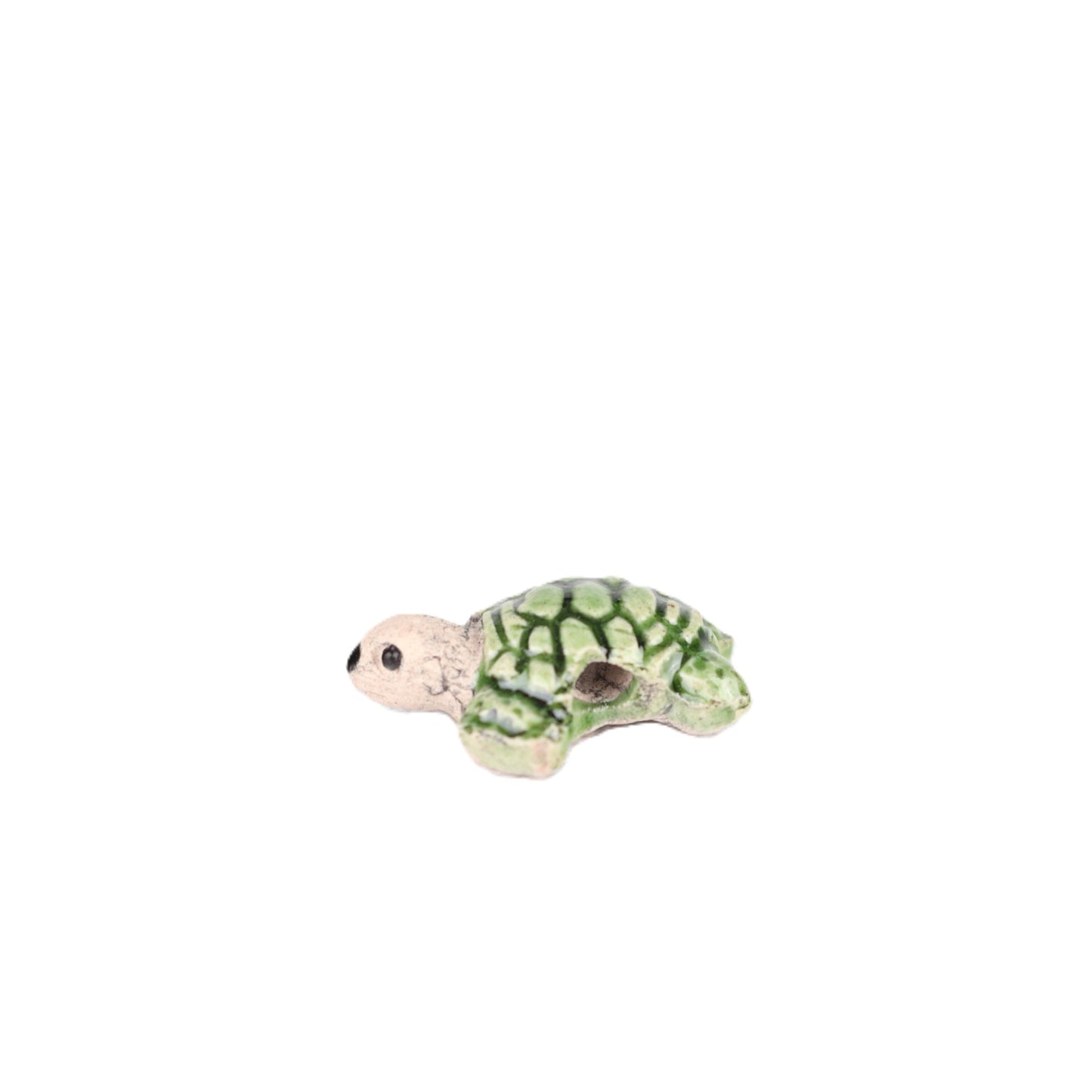 Small Turtle