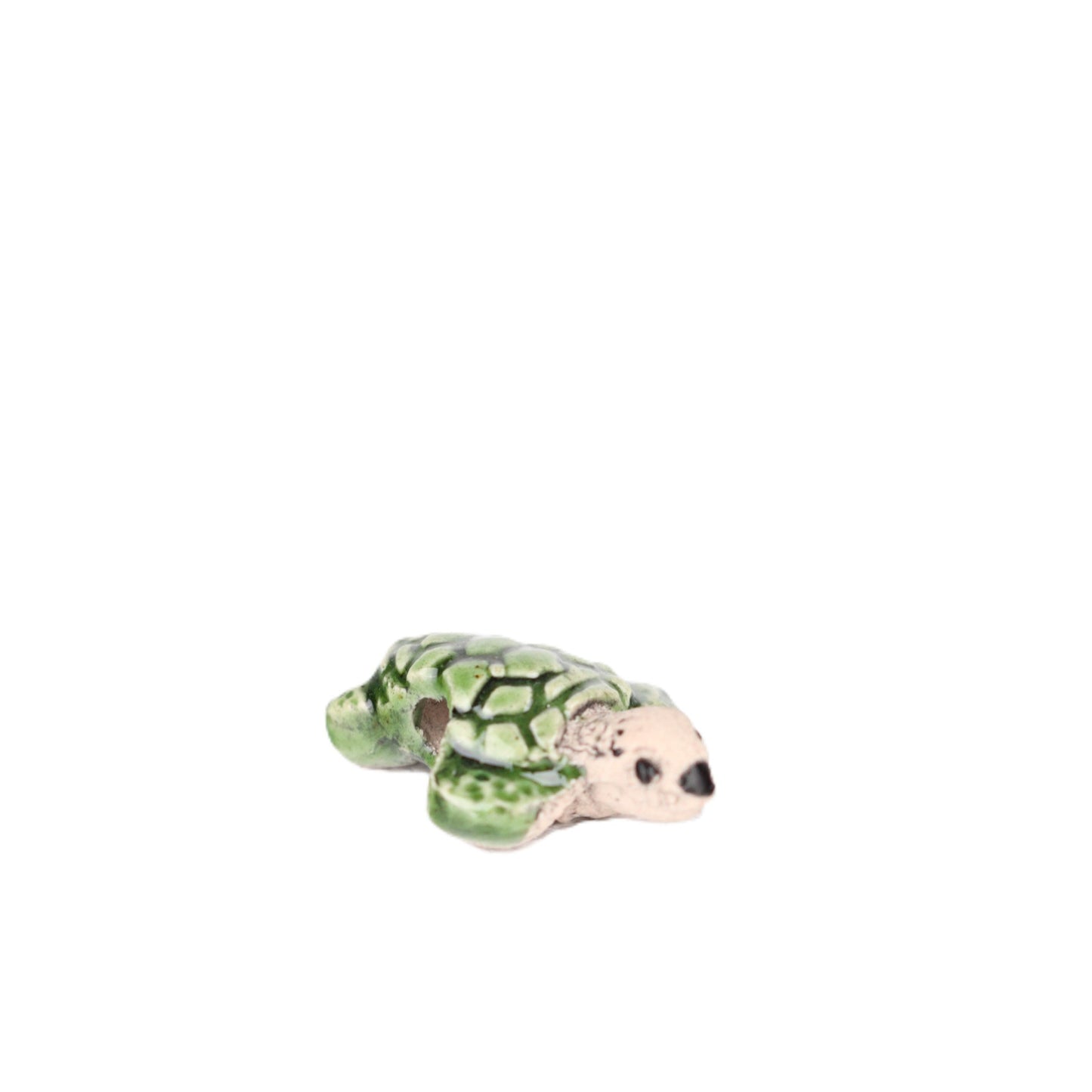 Small Turtle