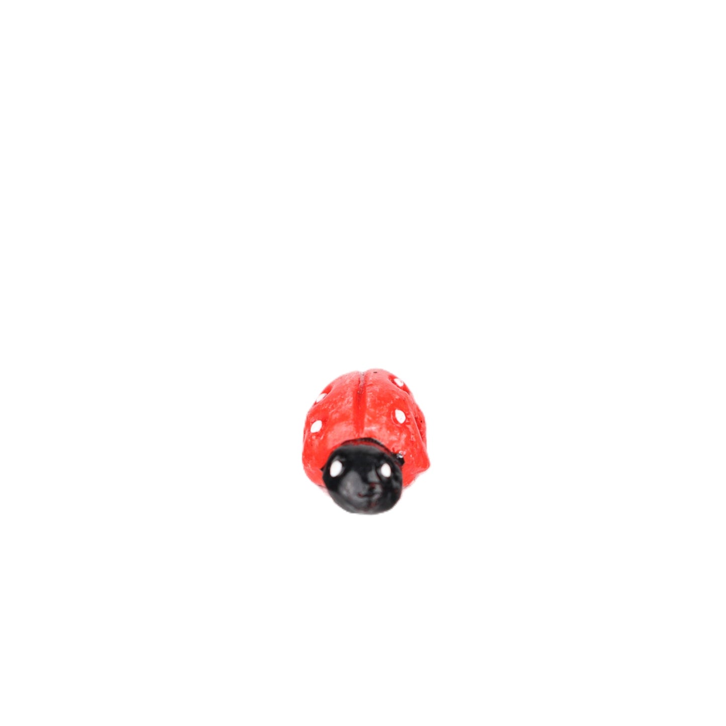 Small Ladybird