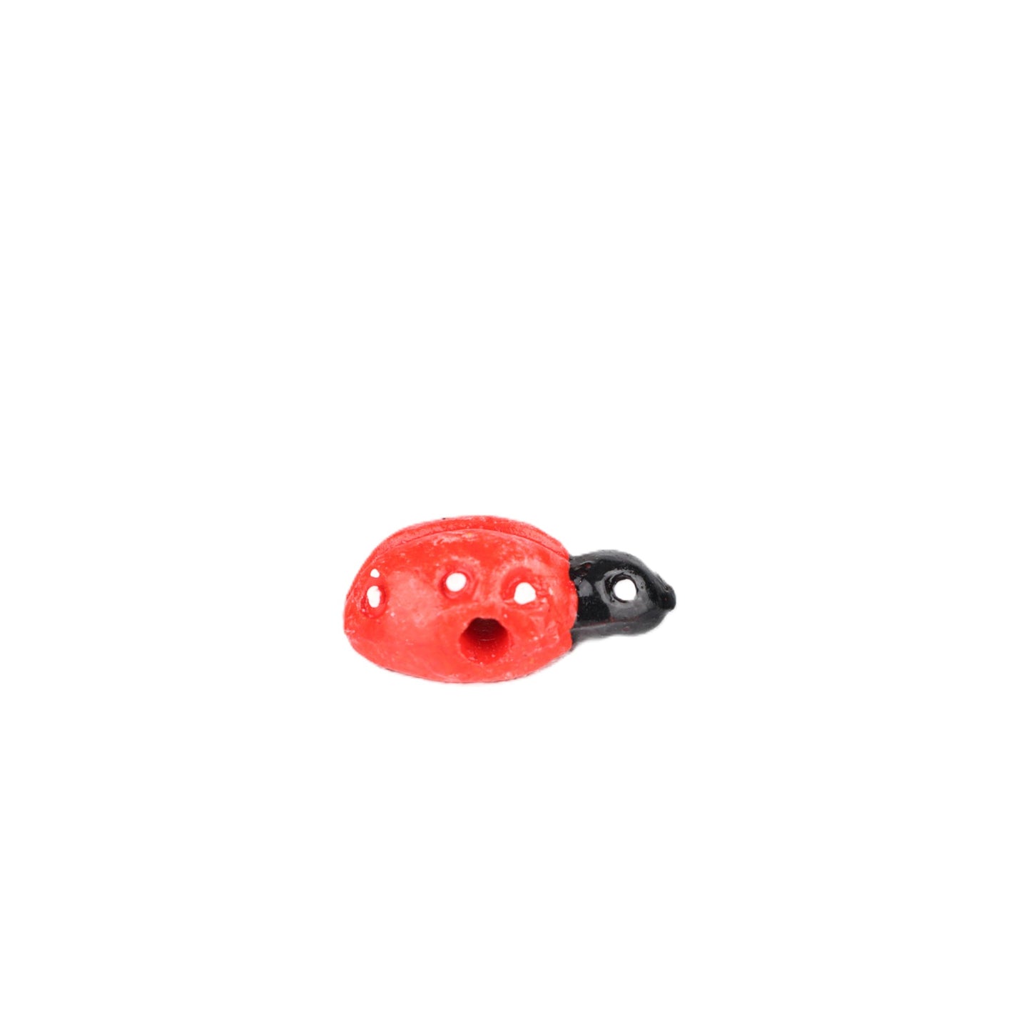 Small Ladybird