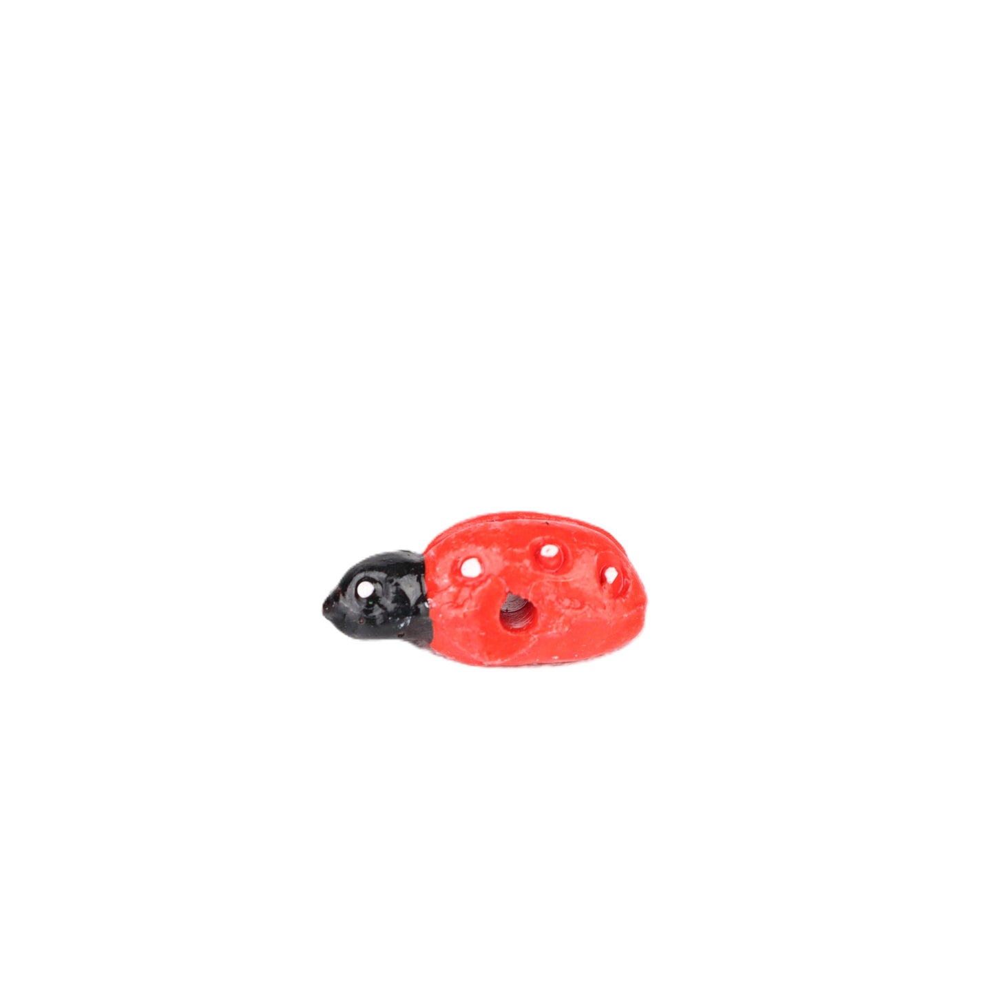 Small Ladybird