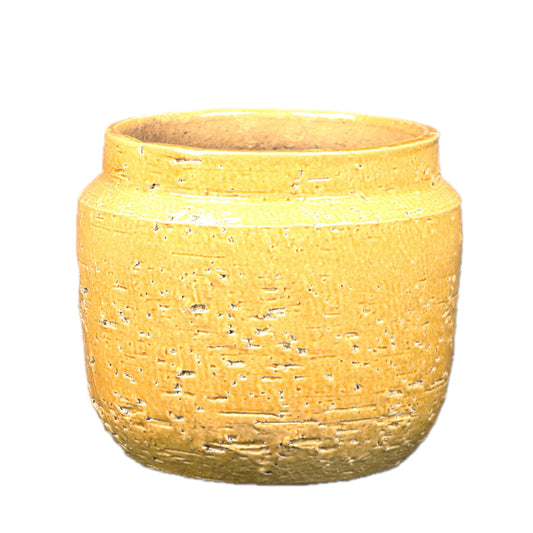 Seasoned Mustard Pot Small