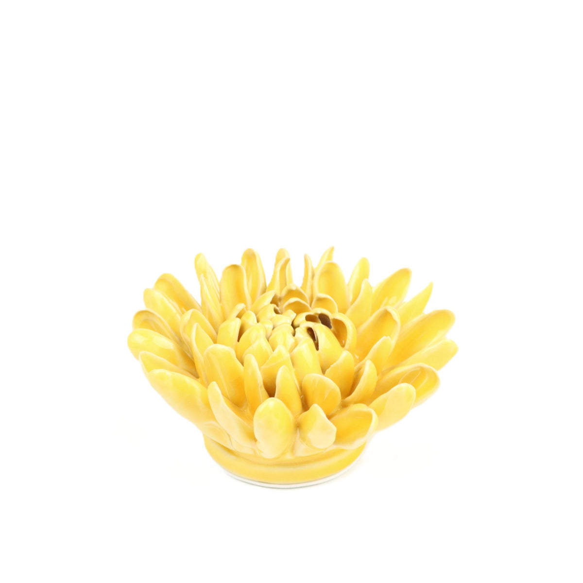 Cadmium Chrysanthemum