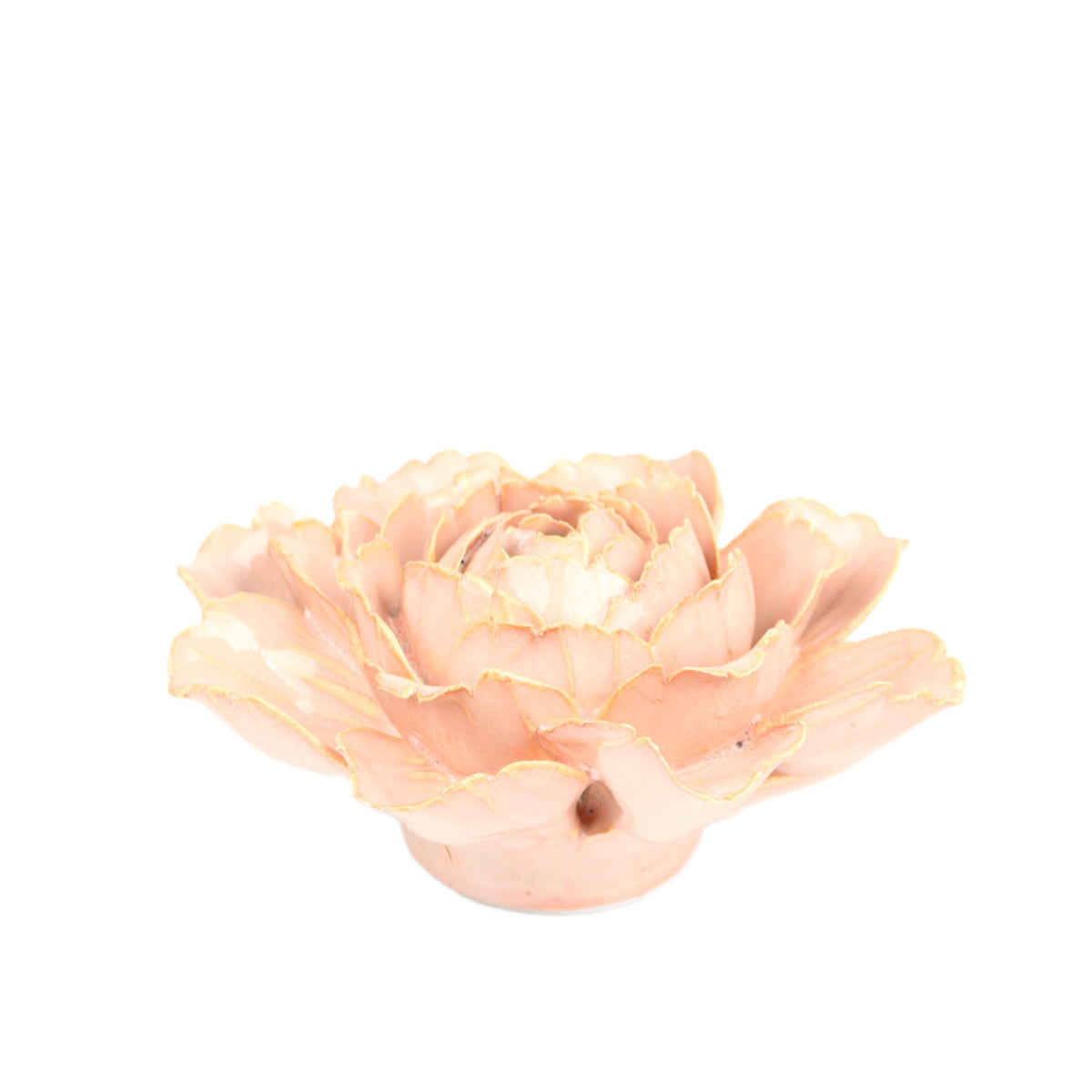 Rosewater Camellia