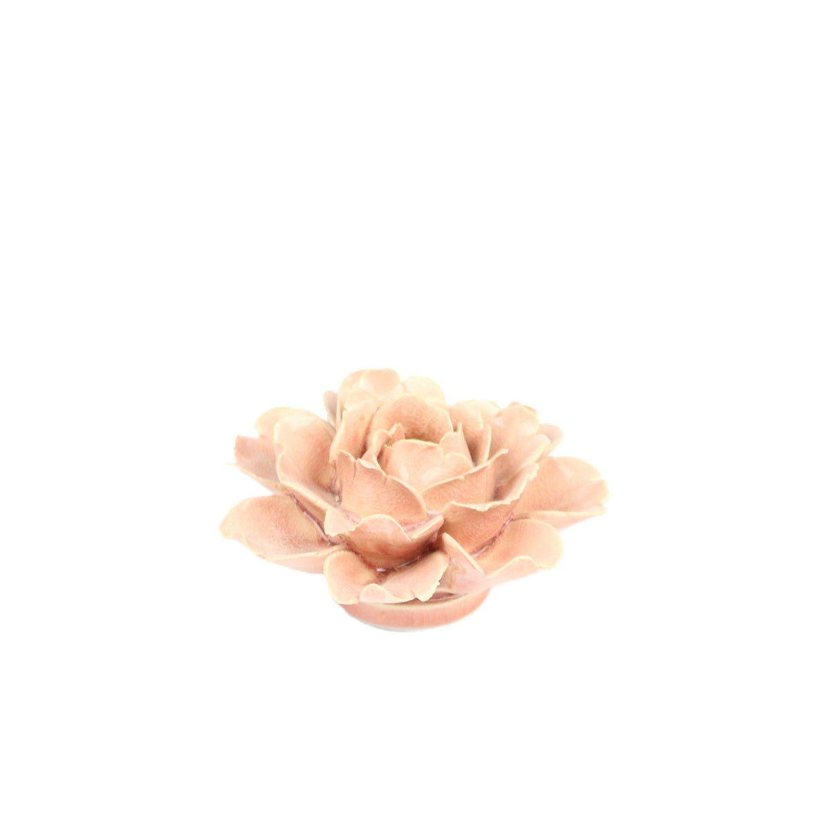 Antique Rose Rose