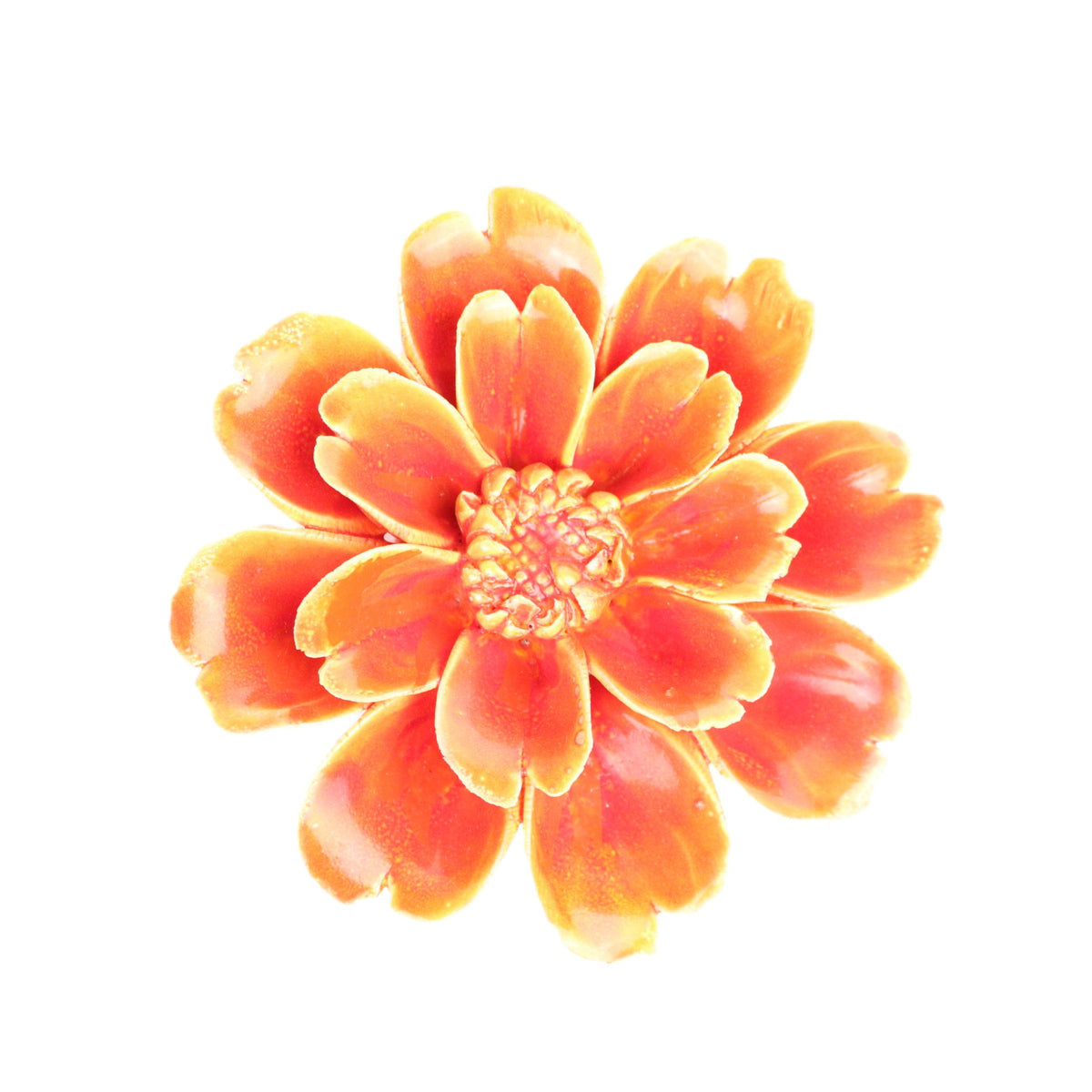 Fiery Paris Daisy