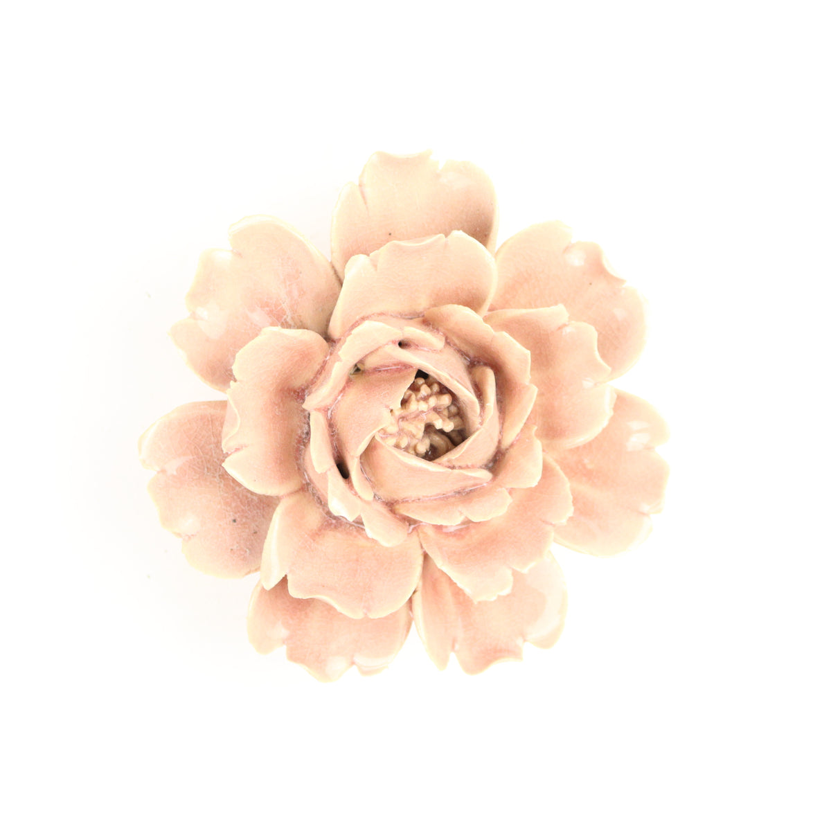 Antique Rose Rose
