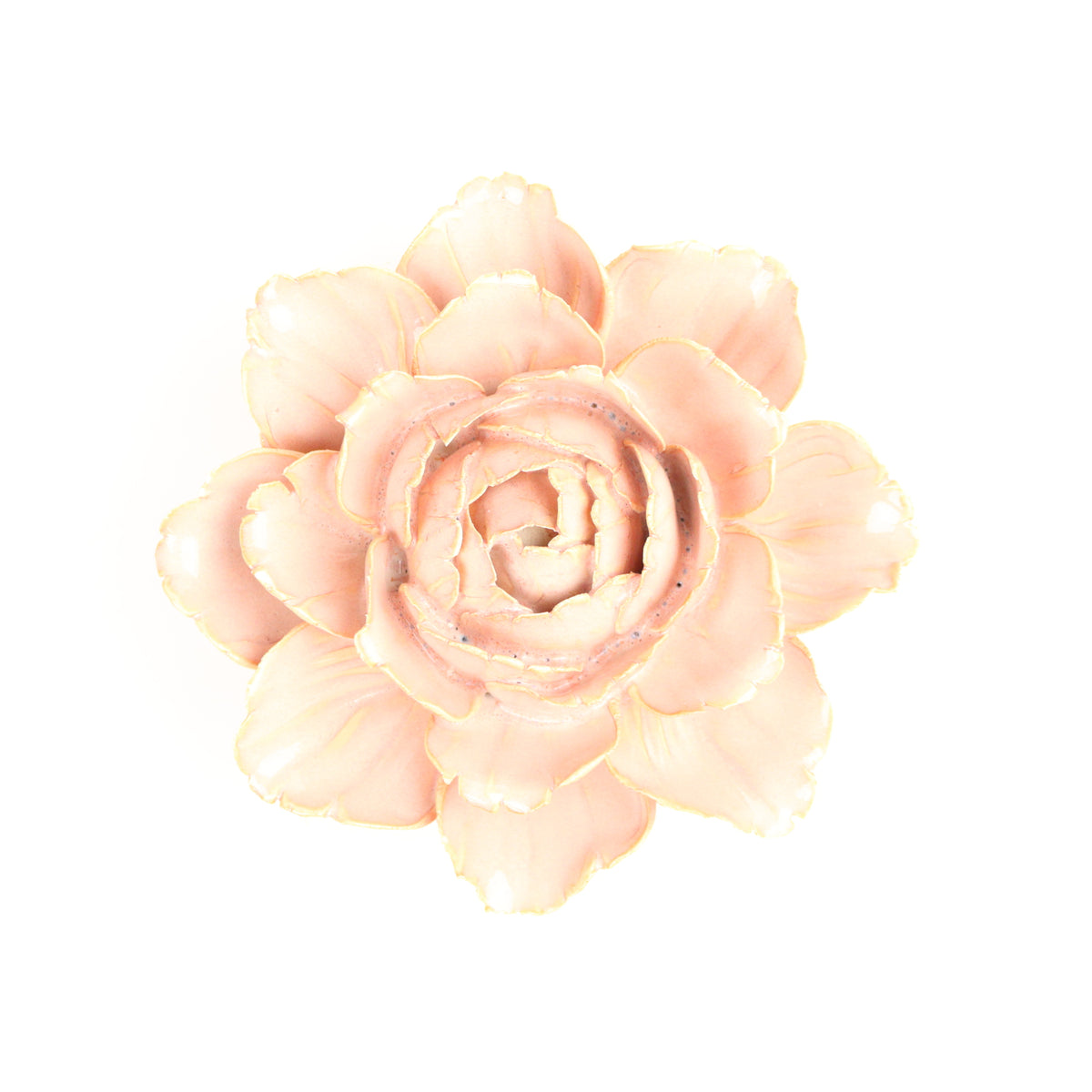 Rosewater Camellia
