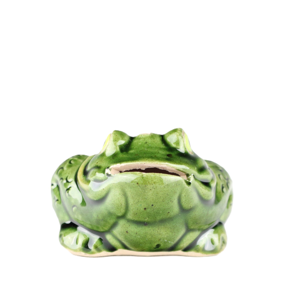 Toad Holder
