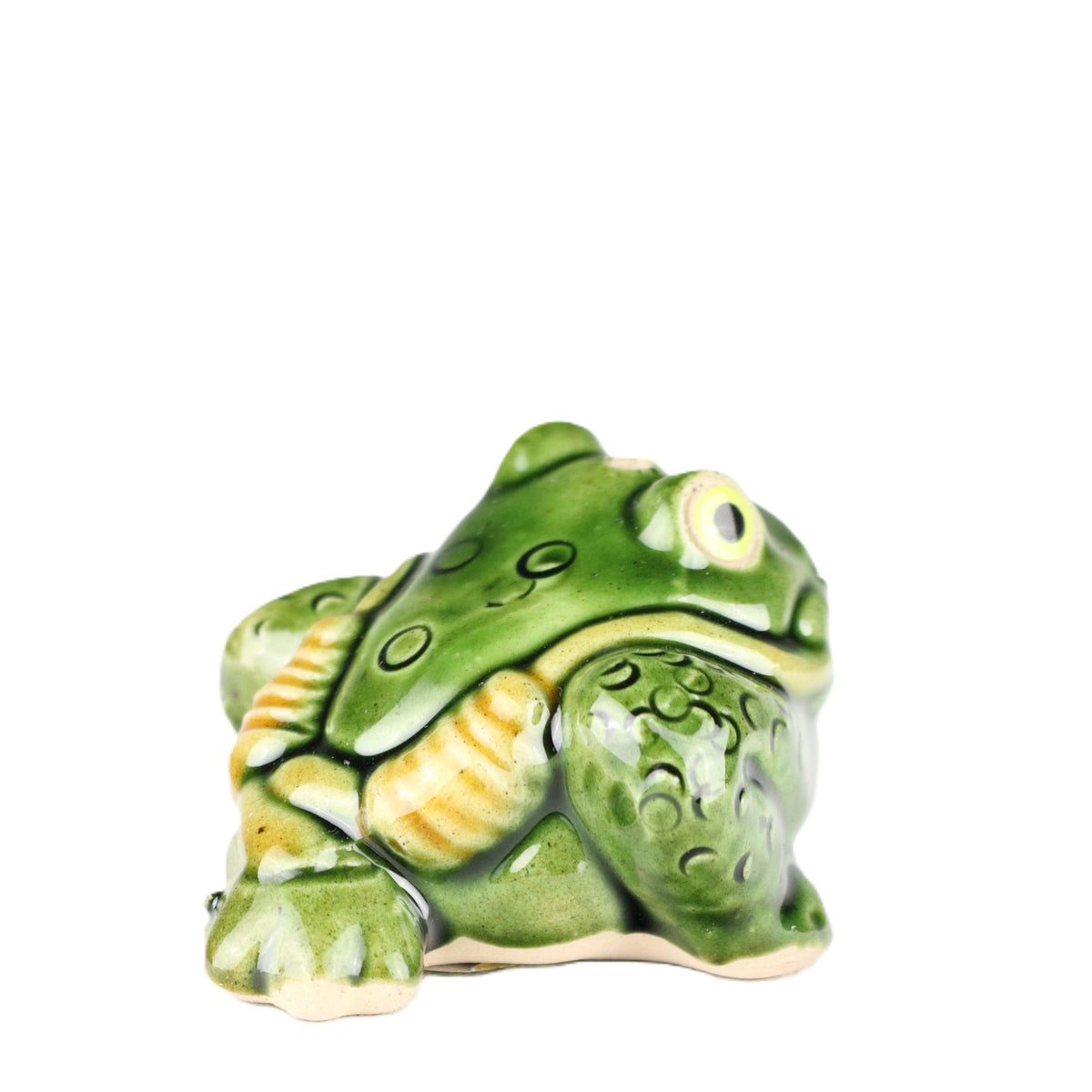 Toad Holder