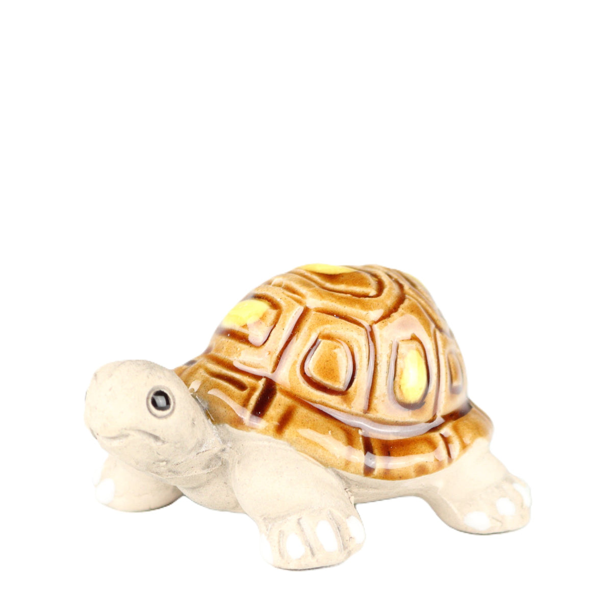 La Tortue Holder