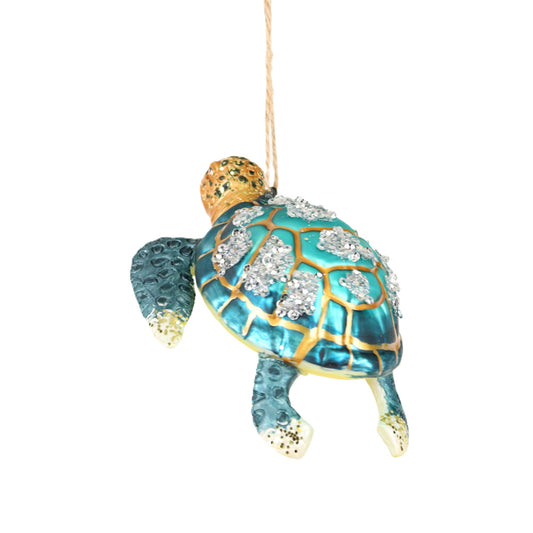 Smug Turtle