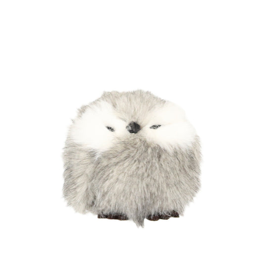 Owlet