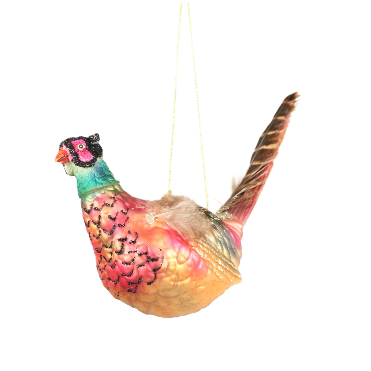 Pheasant