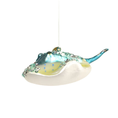 Manta Ray Pup