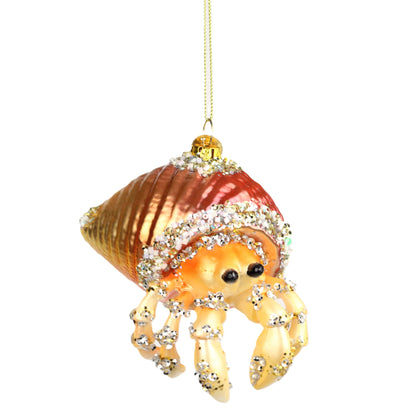 The Cooler Hermit Crab