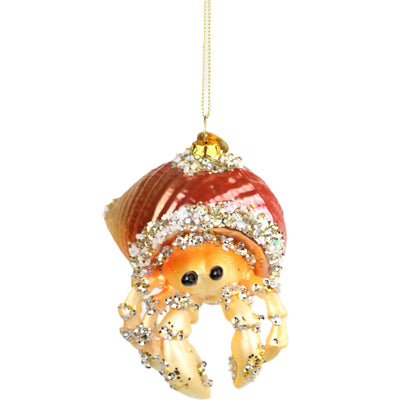 The Cooler Hermit Crab