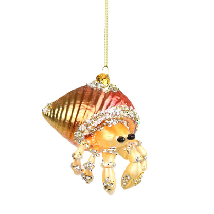 The Cooler Hermit Crab