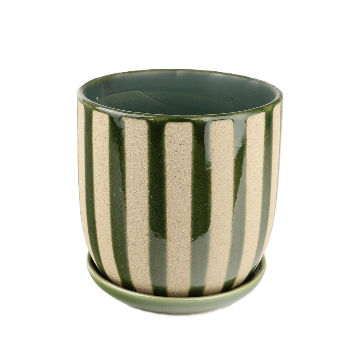 Green Zebra Large