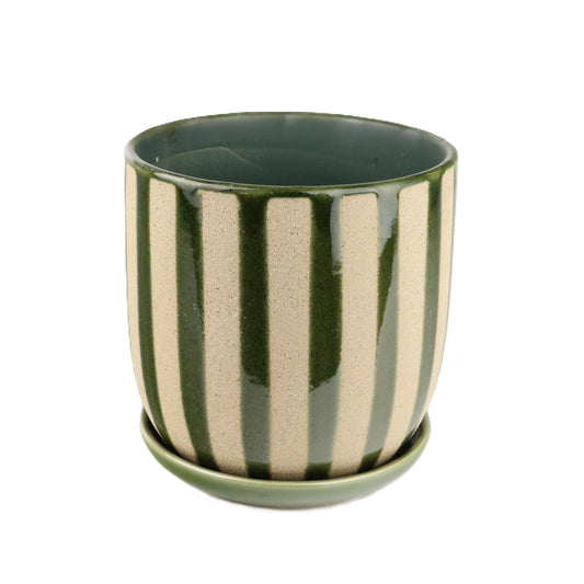 Green Zebra Large