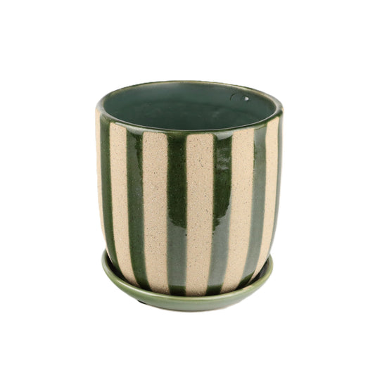 Green Zebra Small