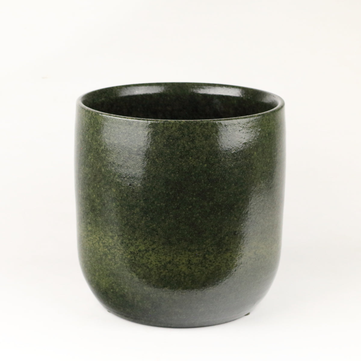 Fern Cylinder Medium