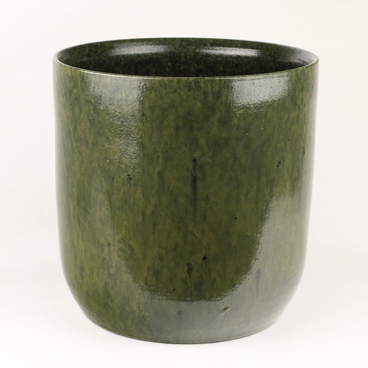 Fern Cylinder Large