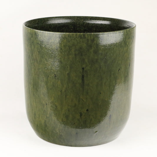 Fern Cylinder Large
