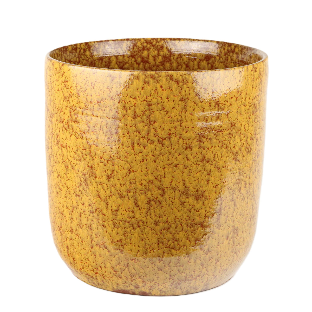 Mustard Cylinder Large