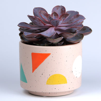 Shapes Pot