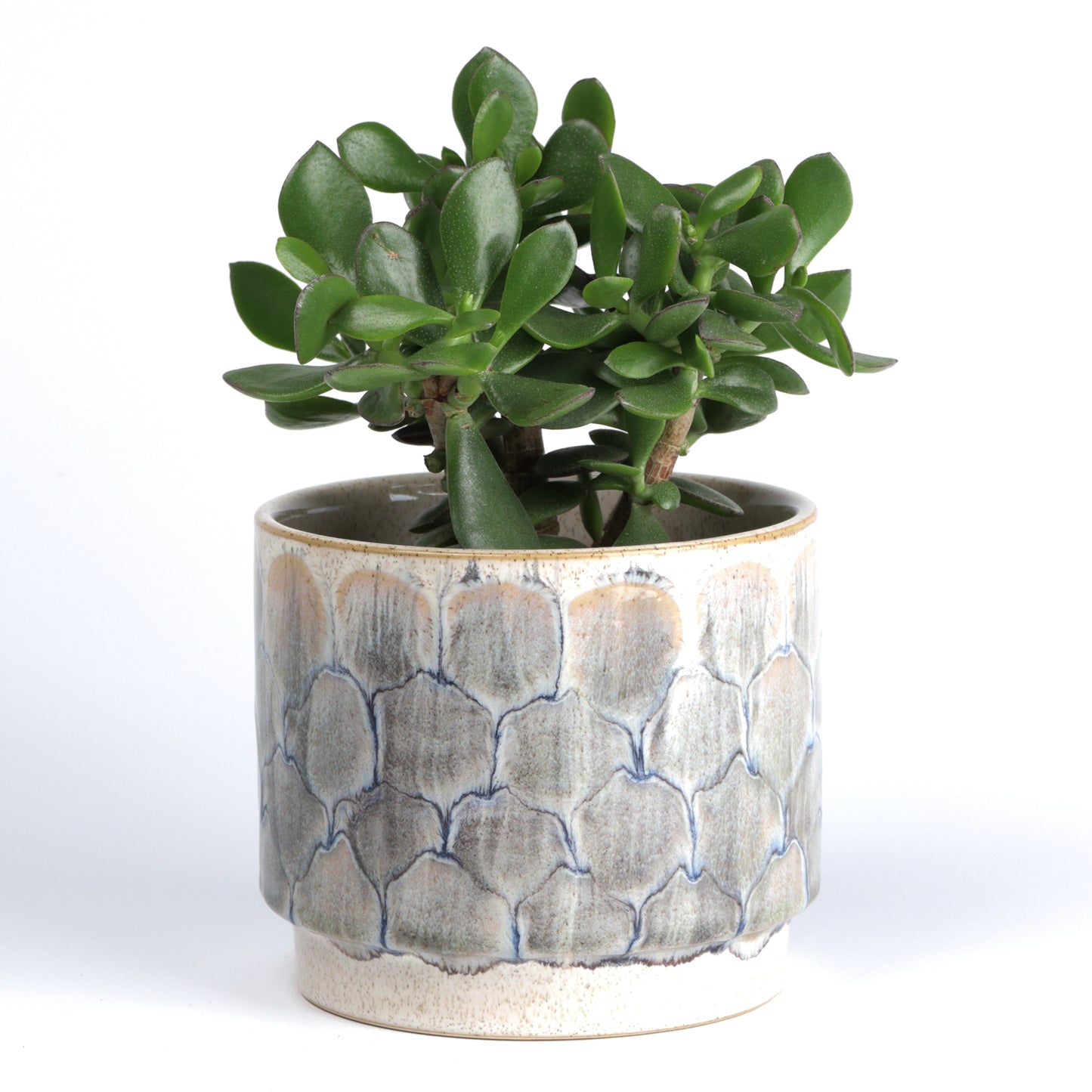 Grey Scaly Planter