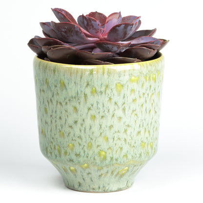 Glowing mint taper planter