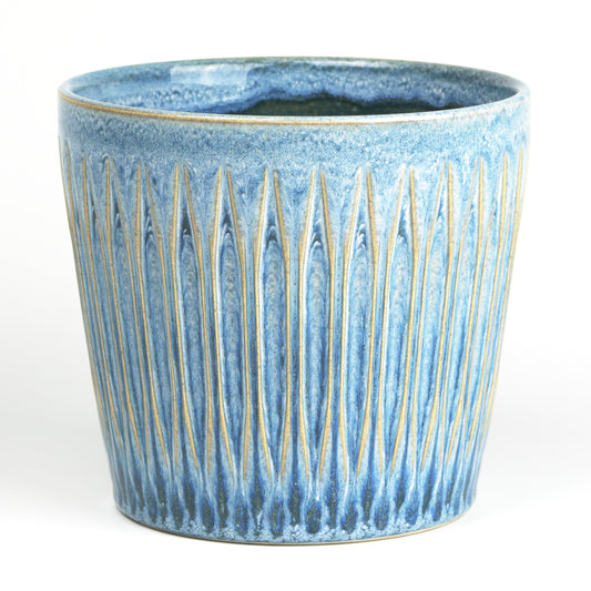 Azure finned cone Large