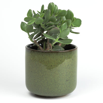 Forest green cylinder