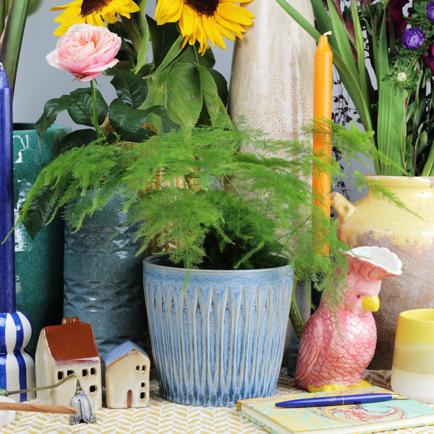 Azure finned cone Large