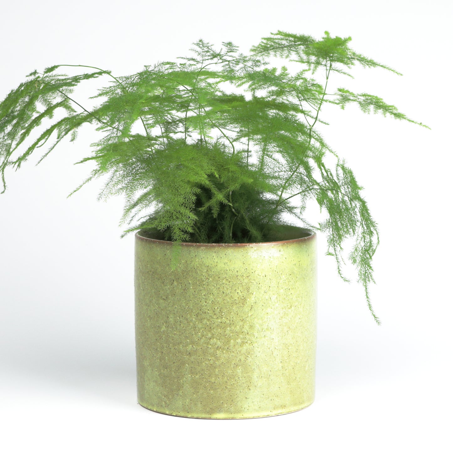 Summer Green Cylinder