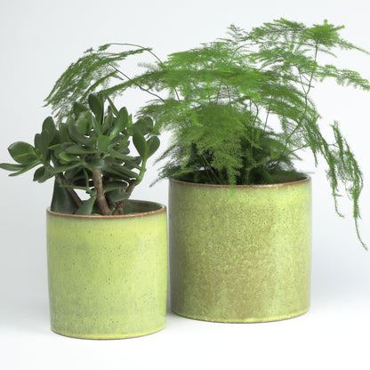 Summer green cylinder