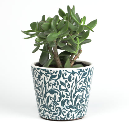 Teal Foliage Cone