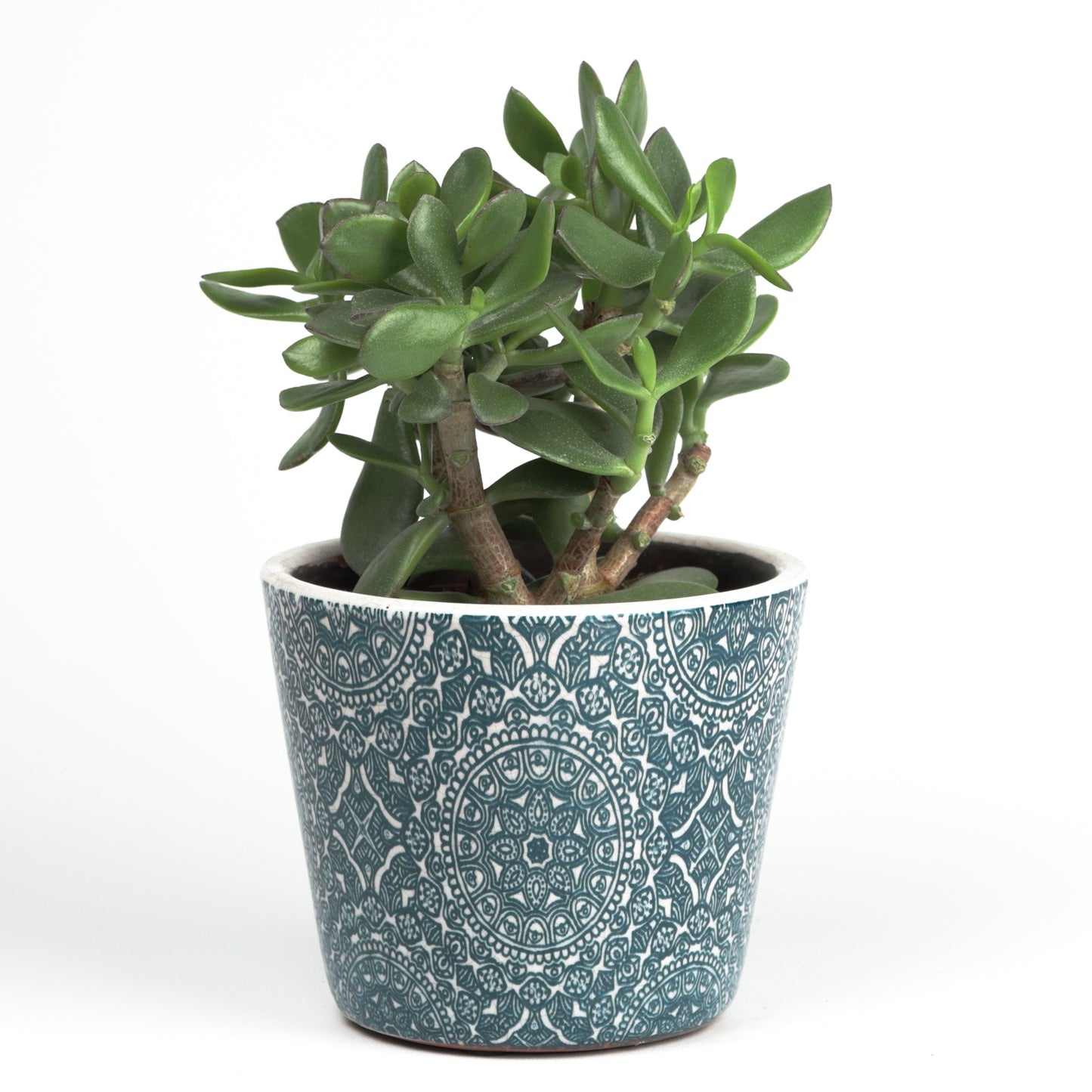 Arabesque Cone