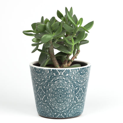 Arabesque Cone