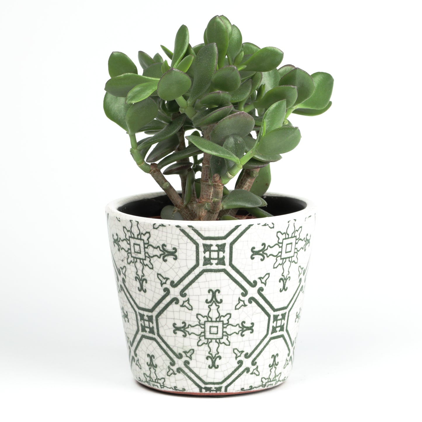 Moroccan Green Cone