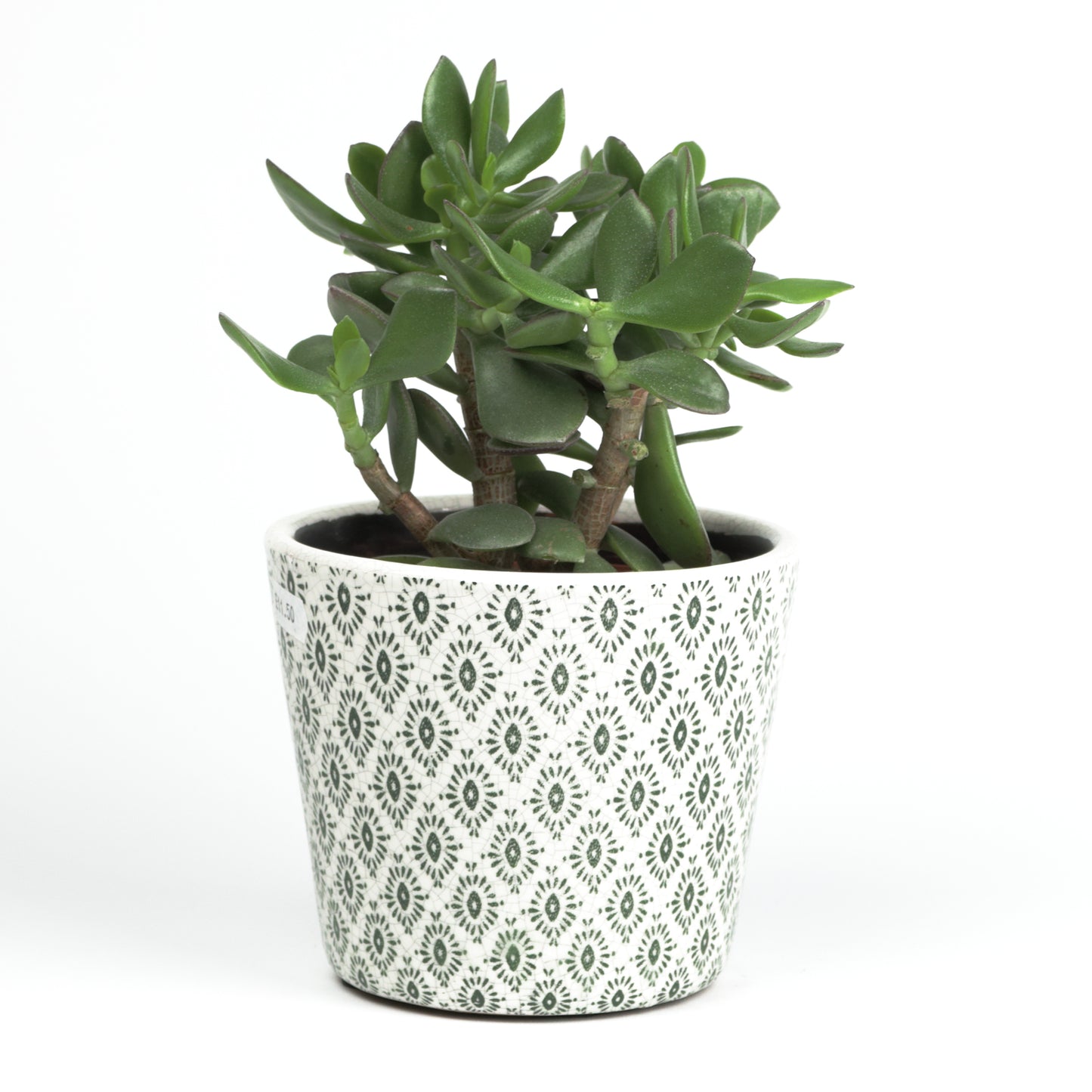 Diagonal Cross Cone