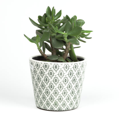 Diagonal Cross Cone