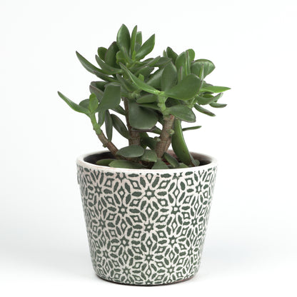Abstract Floral Cone