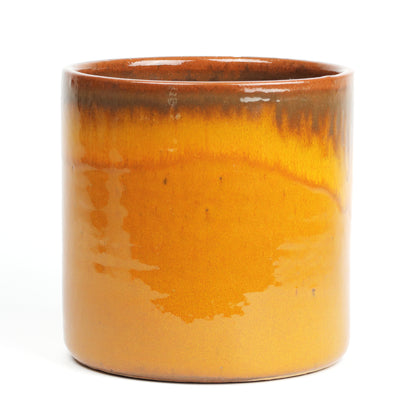 Amber sunset Large MISING SCENE PHOTO